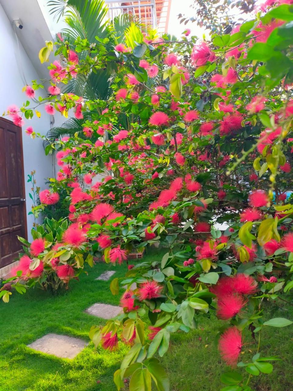 Serenity Garden Που Κουόκ Εξωτερικό φωτογραφία